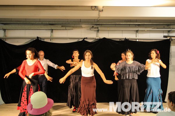 flamenco_2307-33.JPG