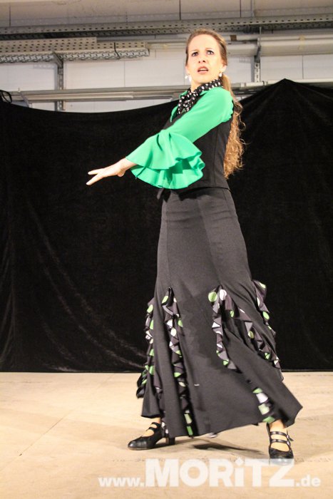 flamenco_2307-61.JPG