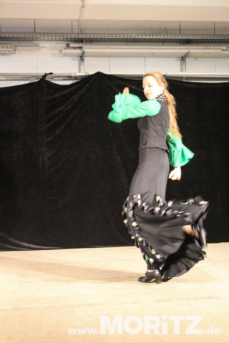 flamenco_2307-64.JPG