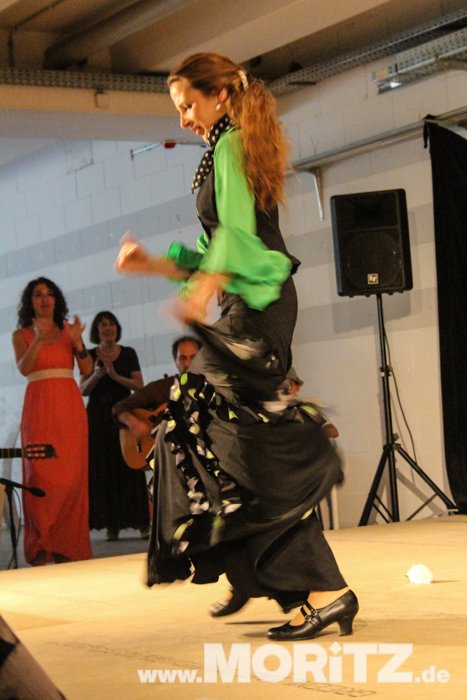 flamenco_2307-71.JPG