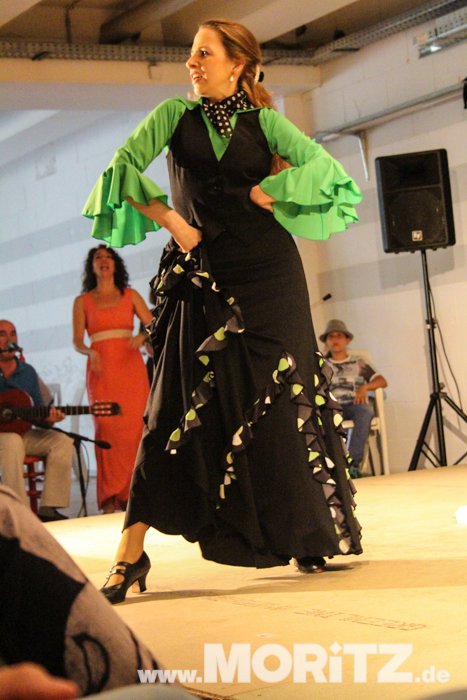 flamenco_2307-72.JPG