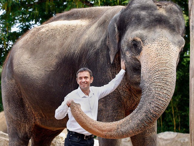 Wilhelma-Direktor Dr. Thomas Kölpin wurde zum Vorsitzenden der Elefanten-Experten der Zoos in Europa gewählt.