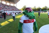 SSV Reutlingen vs VfB Stuttgart, 13.07.2018 (13 von 30).jpg