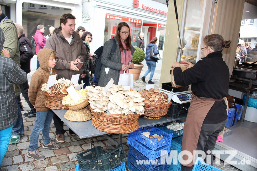 Große und kleine Besucher auf dem Herbstmarkt in Esslingen (20 von 60).jpg
