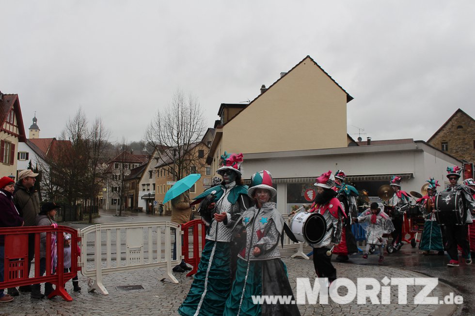 Närrinnen und Narren rocken Faschingsumzug und -Party in Gundelsheim  (5 von 19).jpg