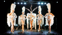 Künstler_Vegas-Showgirls-(Mittel).gif