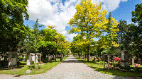 Pragfriedhof-Stuttgart.png