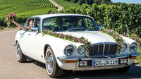 Jaguar-Hochzeit-Weinberge.jpg