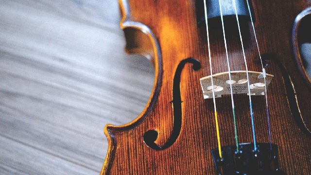 violin-g514f2b79f_1920.gif