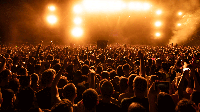 back-view-of-crowd-of-fans-watching-live-performance-on-music-concert-at-night-copy-space.gif