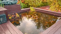 decorative-pond-with-water-lily-leaves-reflections-trees-water-autumn-park-beauty-nature.jpg