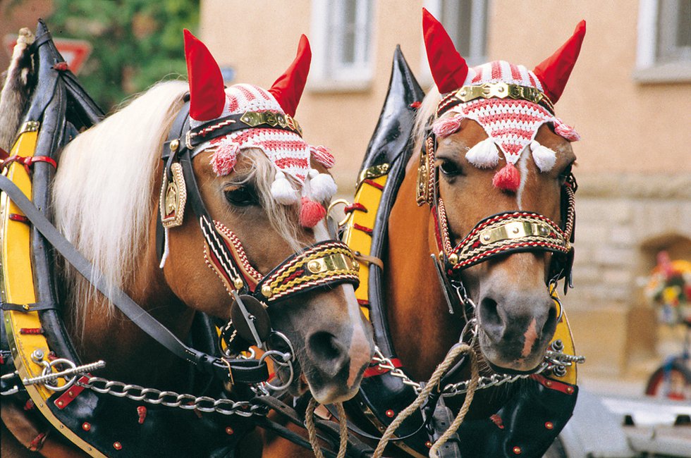 Ludwigsburger Pferdemarkt vom 15. bis 18. Mai